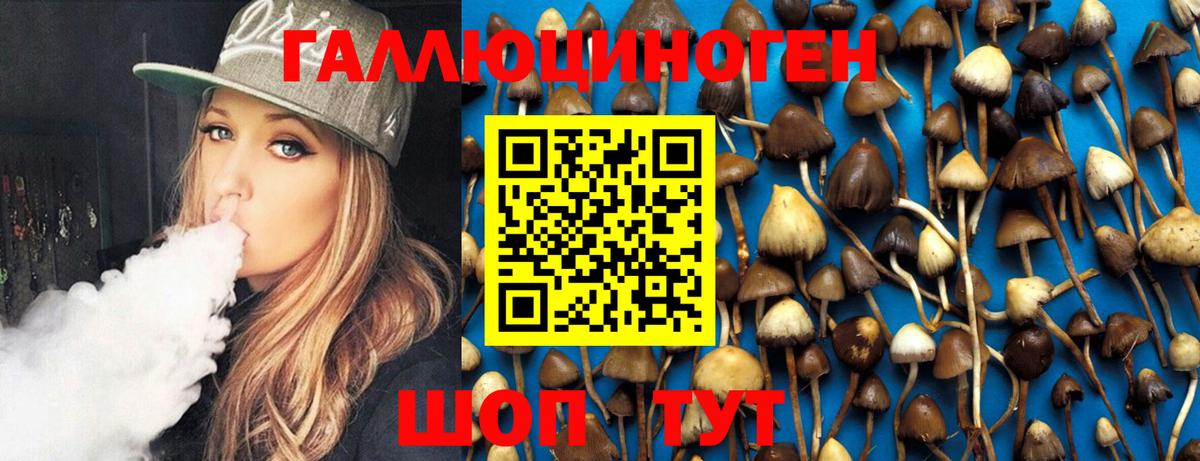 Галлюциногенные грибы ЛСД  Галлюциногенные грибы MAGIC MUSHROOMS  Вход с VPN  Алапаевск 